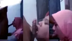 Pembantu Jilbab Hisap Kontol Sampai Muncrat.