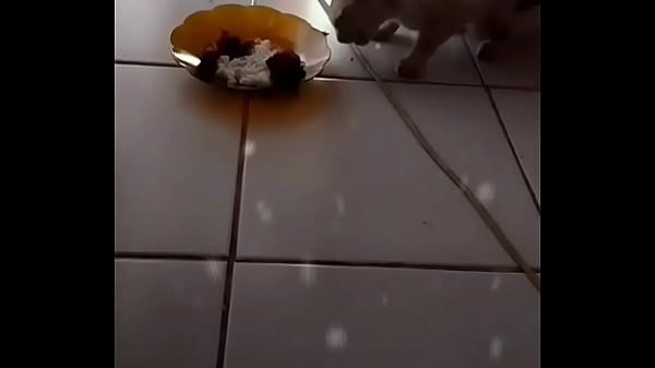 Anita, Si Sapi Montok Yang Bikin Ngiler Setiap Gerak.